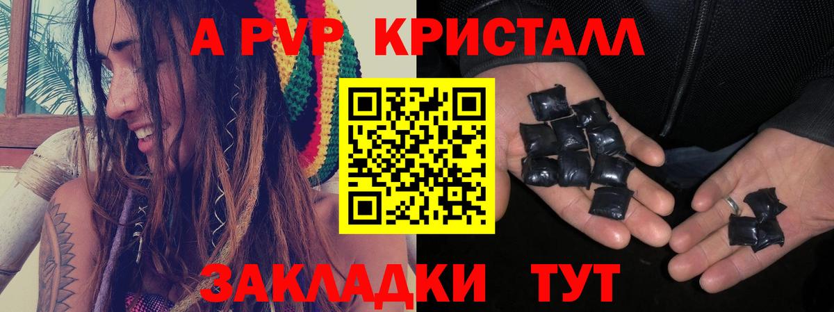 Alfa_PVP СК Мытищи