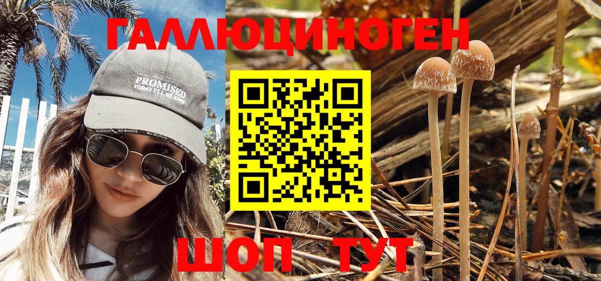 Галлюциногенные грибы Magic Shrooms  Галлюциногенные грибы мухоморы  Мытищи  Вход с VPN 